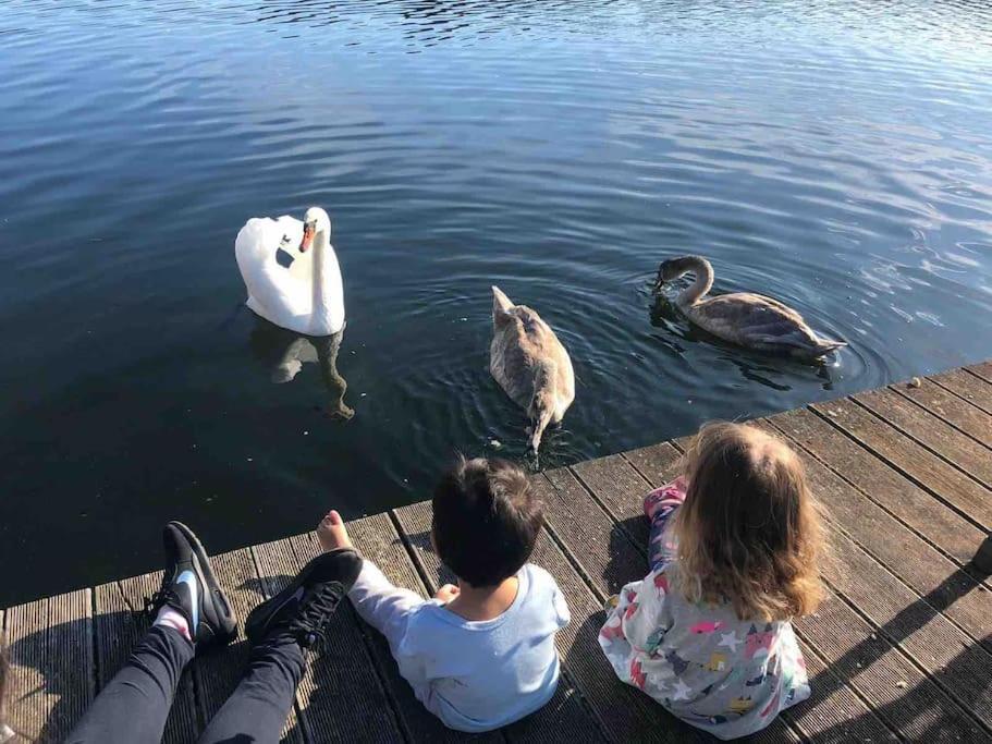 Haus Wilma Gruene Idylle Im Wald Direkt Am See Вендиш-Риц Экстерьер фото